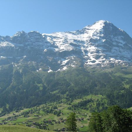 Chalet Uf Em Stutz 1 Grindelwald Exterior foto